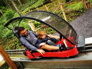 roller coaster in the forest 