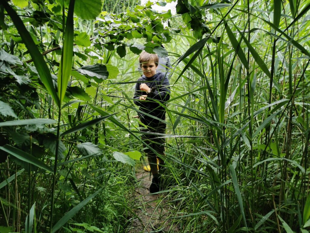 Cothill national nature reserve