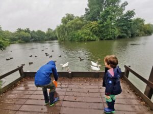 Feeding the ducks in Brackley 