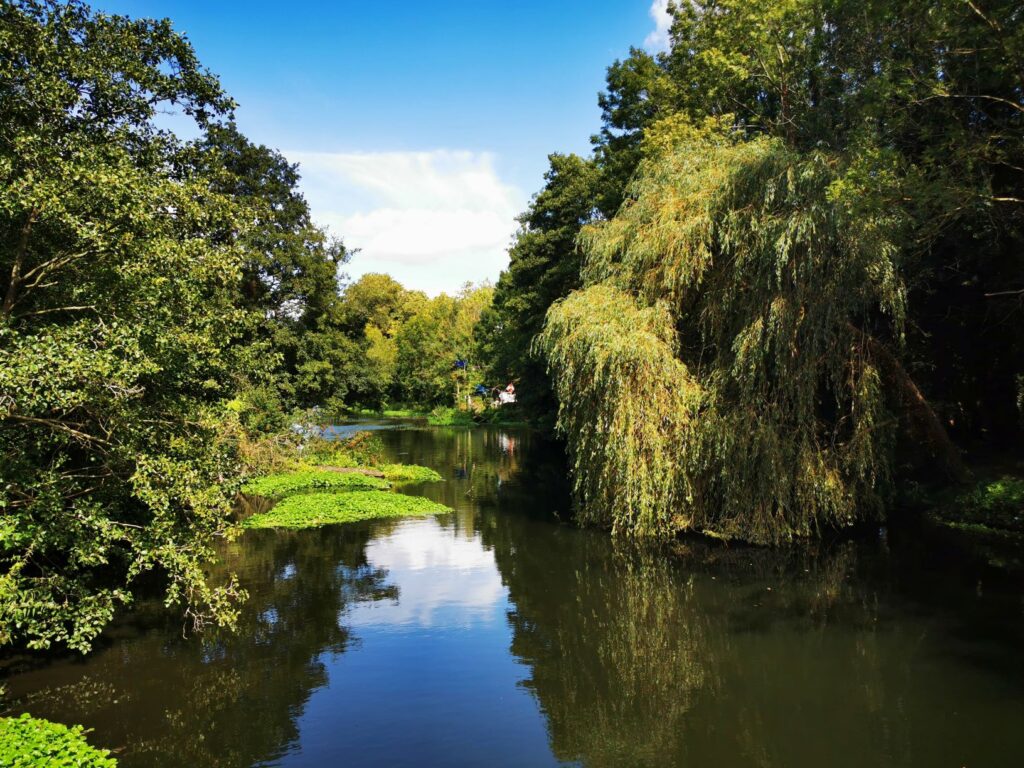 Denham Country park 