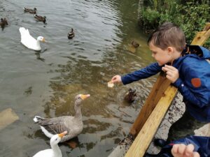 Brackley lake