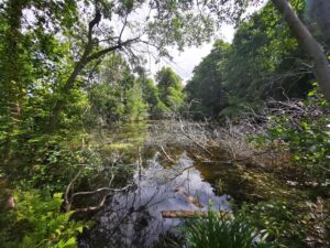 Oxford Nature reserves 