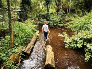 Denham Country park 