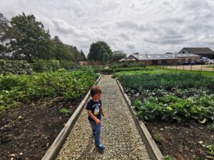 Vegetable patch Stratford