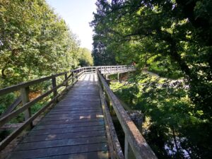 Wooden walkway Milton Keynes 