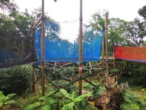 Tree top nets Isle of wight 