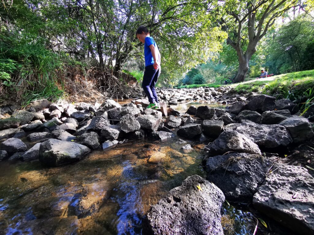 North Loughton valley park stepping stones 