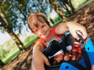 Collecting conkers in North Loughton valley park 