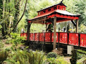 Cascade bridge Robin hill 