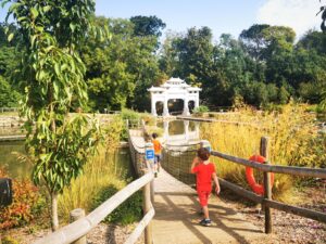 Robing hill suspension bridge 