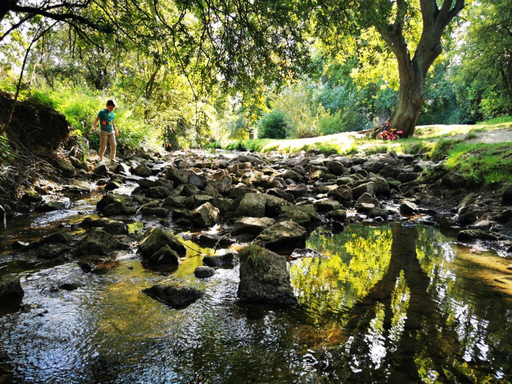 Loughton valley park 