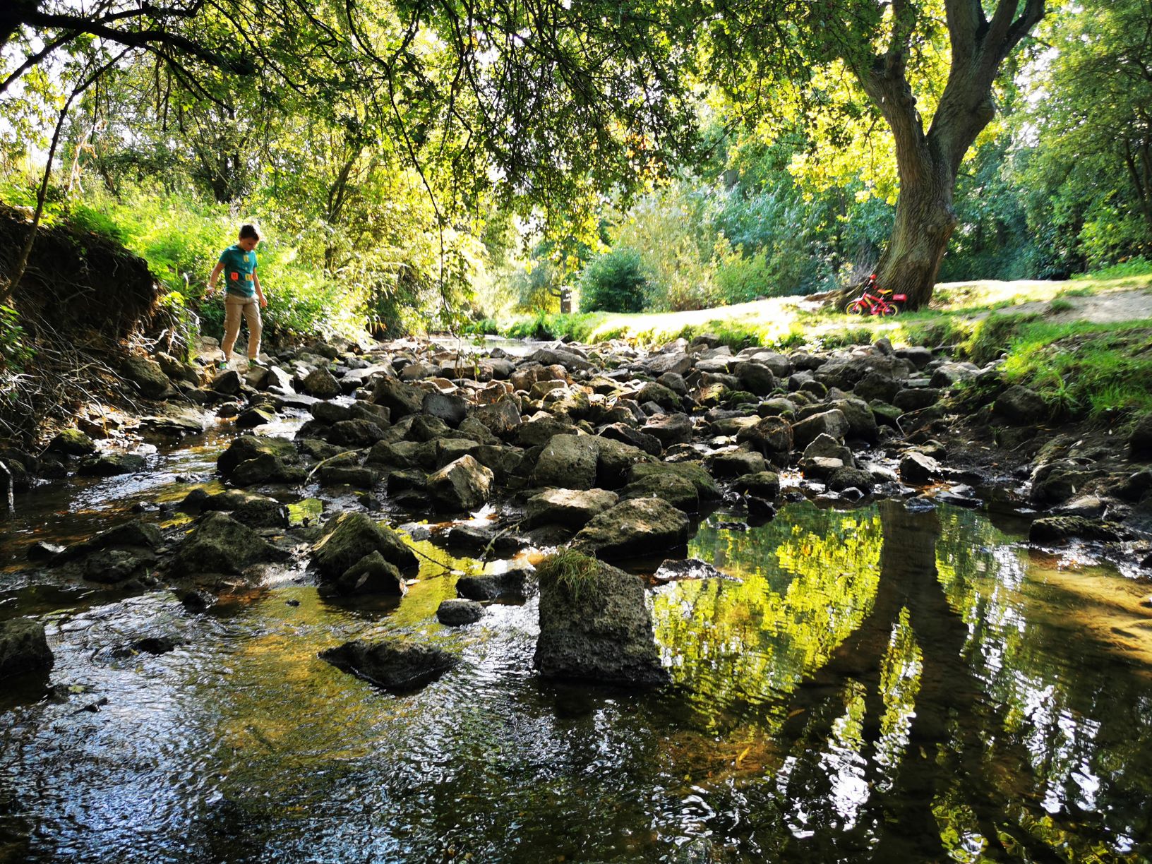 Loughton valley park