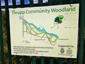 Thrupp community wood 