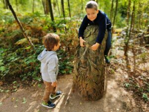 Oxhey woods sculpture trail