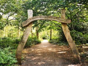 Oxhey woods sculpture trail 