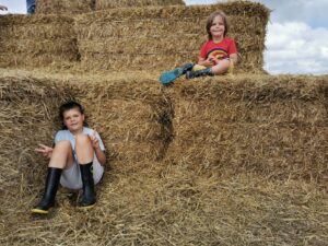 Hay Bale The Patch MK