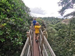 Child friendly walks in shropshire