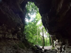 Loggerheads country park 