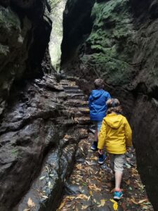 Gullies at Hawkstone park follies