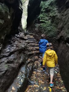 Gullies at Hawkstone park follies