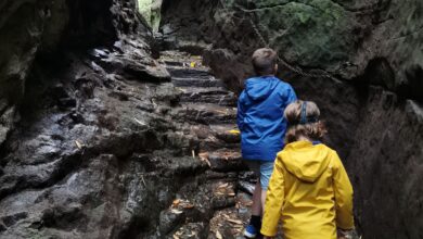 Gullies at Hawkstone park follies