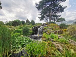 Rock garden Kew 