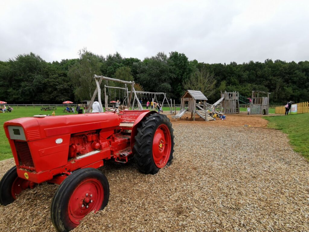 Thrift Farm