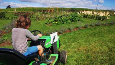 Lillingstone Pick Your Own