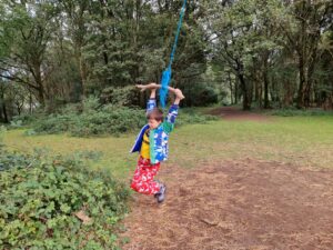 Cumnor tree swing