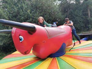 Rodeo bull for kids