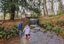 Heythrop Park Walk