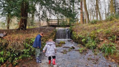 Heythrop Park Walk