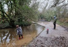 Aynho Deer park walk