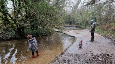 Aynho Deer park walk