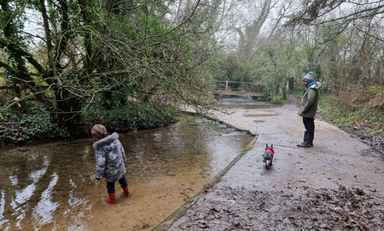 Aynho Deer park walk