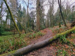 Oxfordshire Walks 