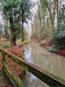 Heythrop Park Walk