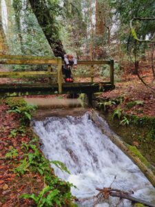 Walking with kids in Oxfordshire 