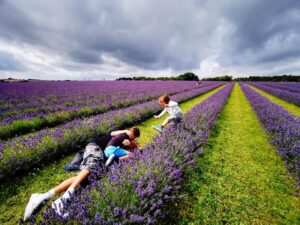 Visit the cotswolds