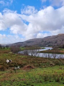 Walks in north wales