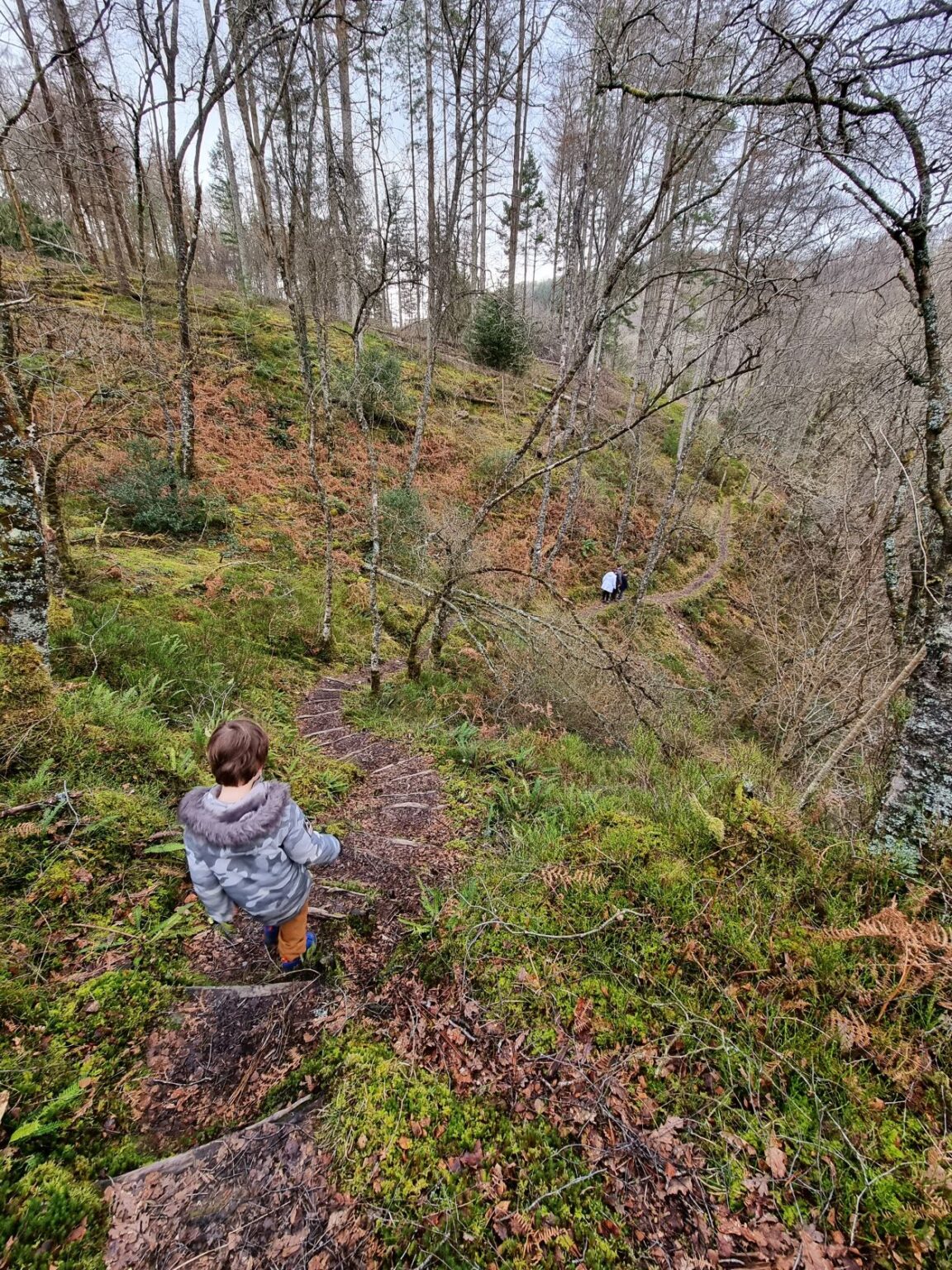 Ceunant Llennyrch Nature Reserve The Family Ticket Ceunant Llennyrch Nature Reserve The Family Ticket