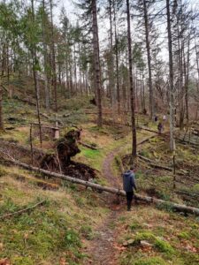 Maentwrog