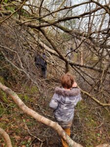 Ceunant Llennyrch Nature Reserve