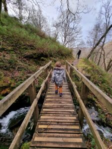 Ceunant Llennyrch Nature Reserve