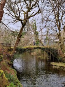 Welsh Nature reserve