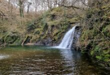 Ceunant Llennyrch Nature Reserve