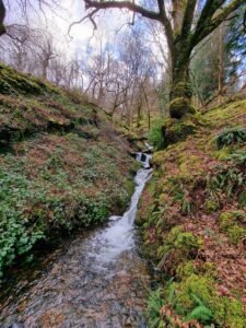 North Wales Walks