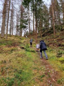 Ceunant Llennyrch Nature Reserve