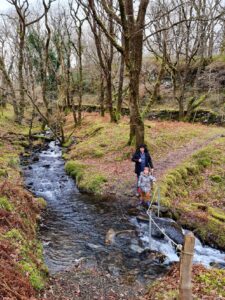 Welsh Walks