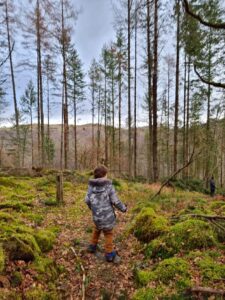 North Wales Nature walks 